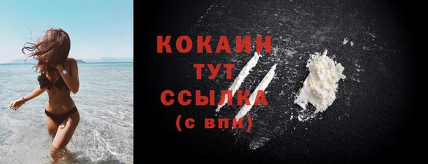 мяу мяу мука Козельск