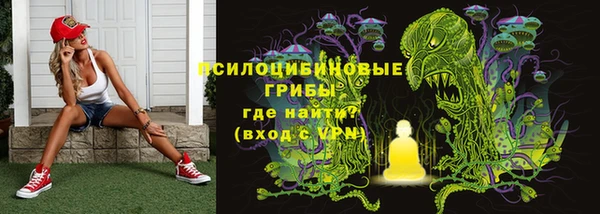 мяу мяу мука Козельск