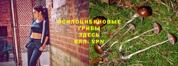 а пвп мука Козловка